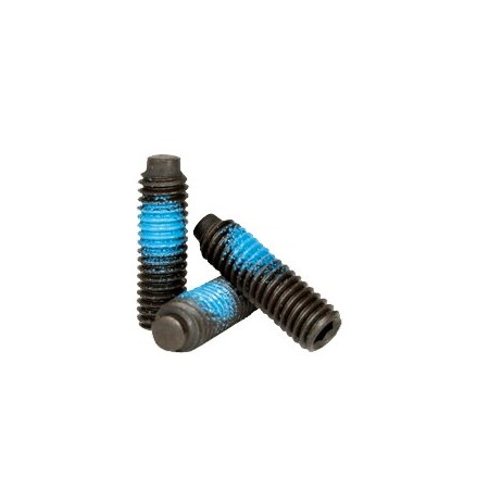 Newport Fasteners Nylon Patch Socket Set Screw Half-Dog Point, 1/4-20 x 5/8", Alloy Steel, Black Oxide, 100PK 531309-100